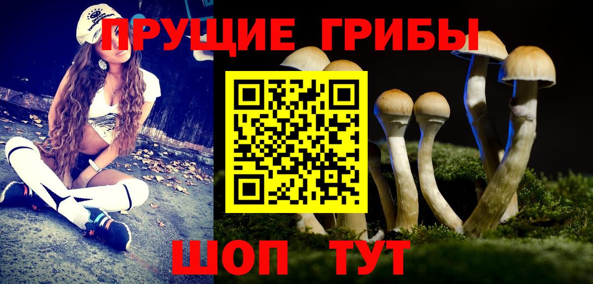 Псилоцибиновые грибы прущие грибы  Вход с VPN  Трёхгорный  Галлюциногенные грибы Magic Shrooms 