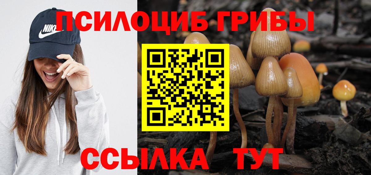 Псилоцибиновые грибы Psilocybine cubensis Трёхгорный